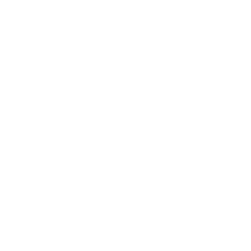 Phoenix Solutions